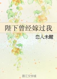 陛下曾经嫁过我